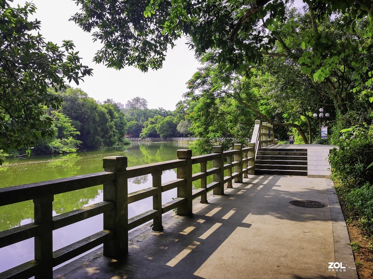 深圳東湖公園 ~ 掠影