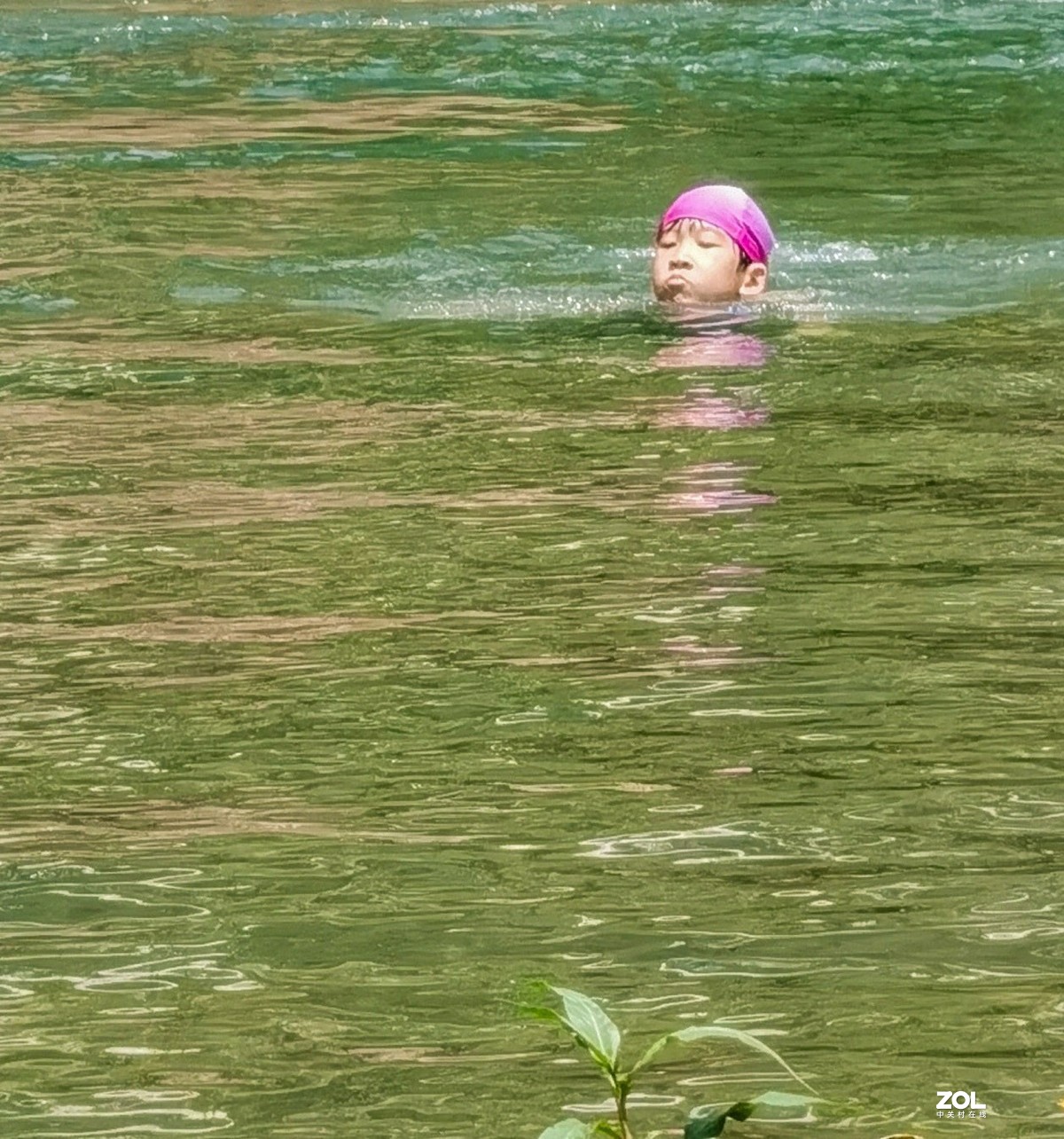 故乡河水情节————带孙子下河游泳