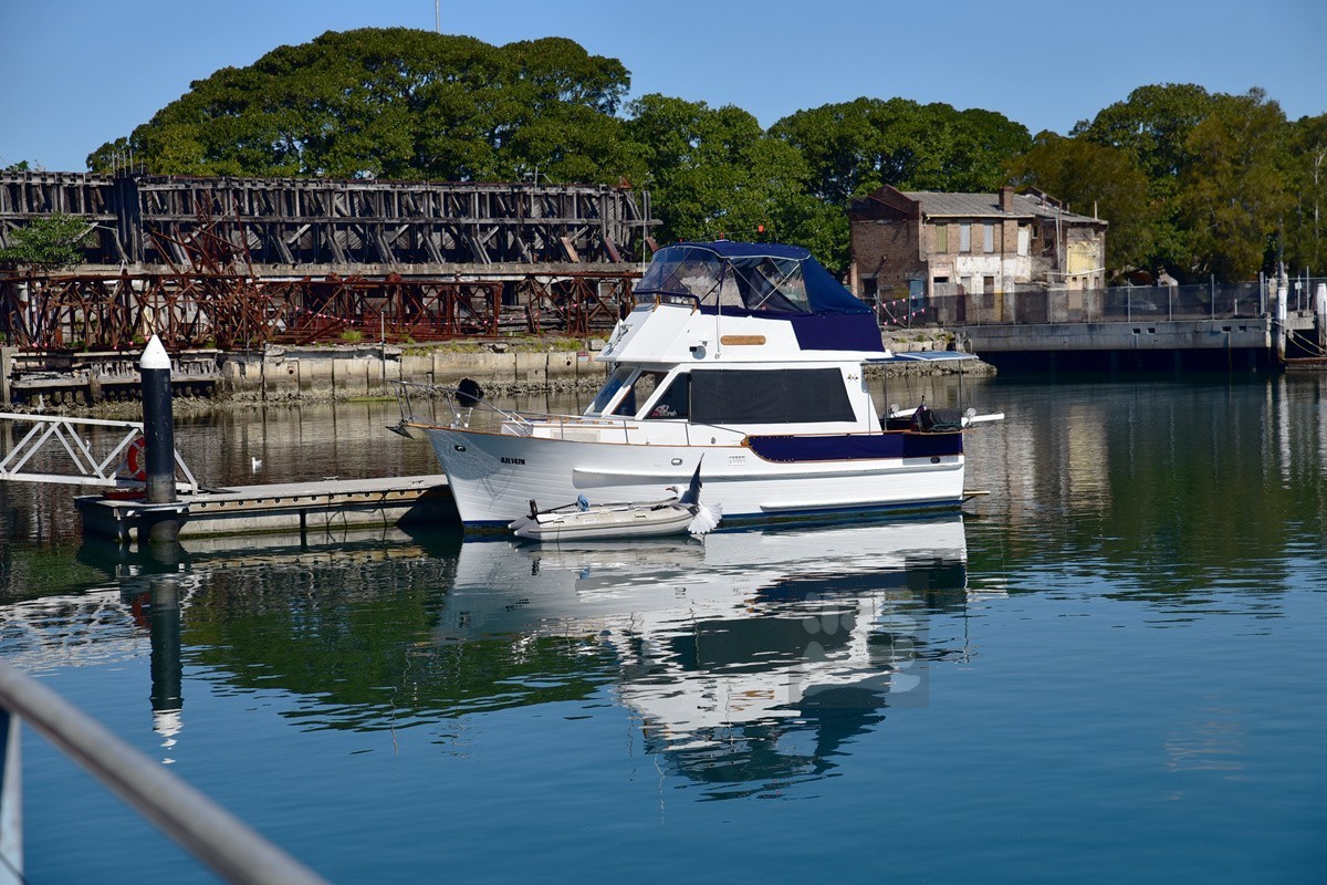 悉尼鱼市场——澳洲印象