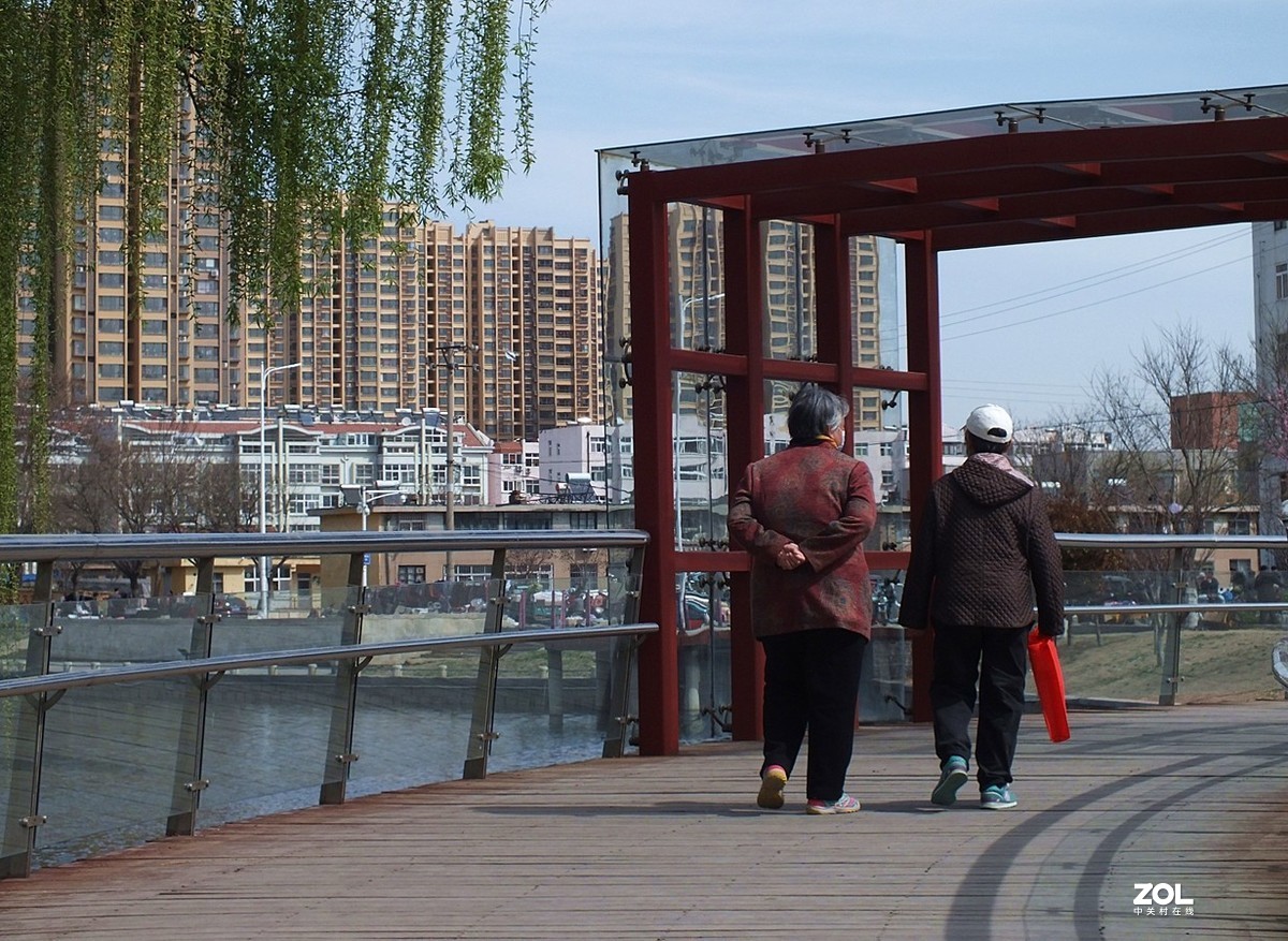 桃红柳绿伴春风--12P