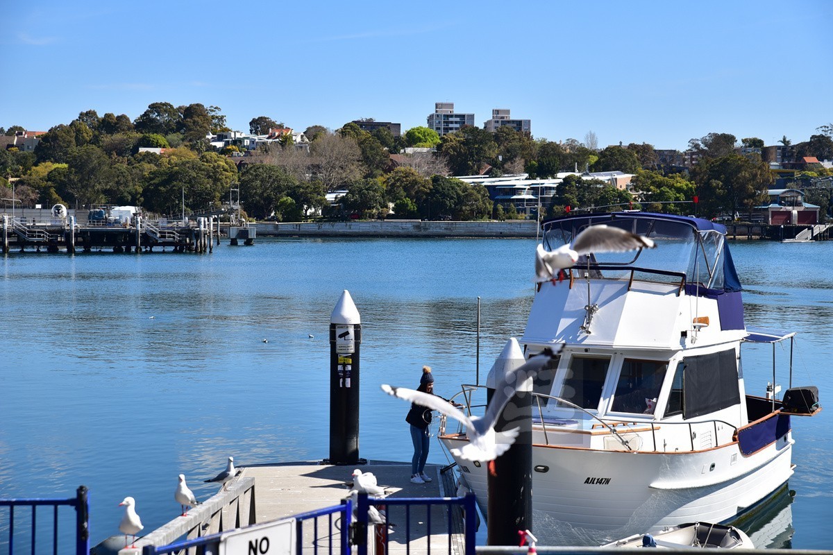悉尼鱼市场——澳洲印象