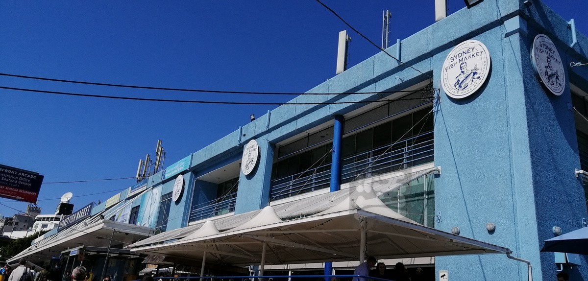 悉尼鱼市场——澳洲印象