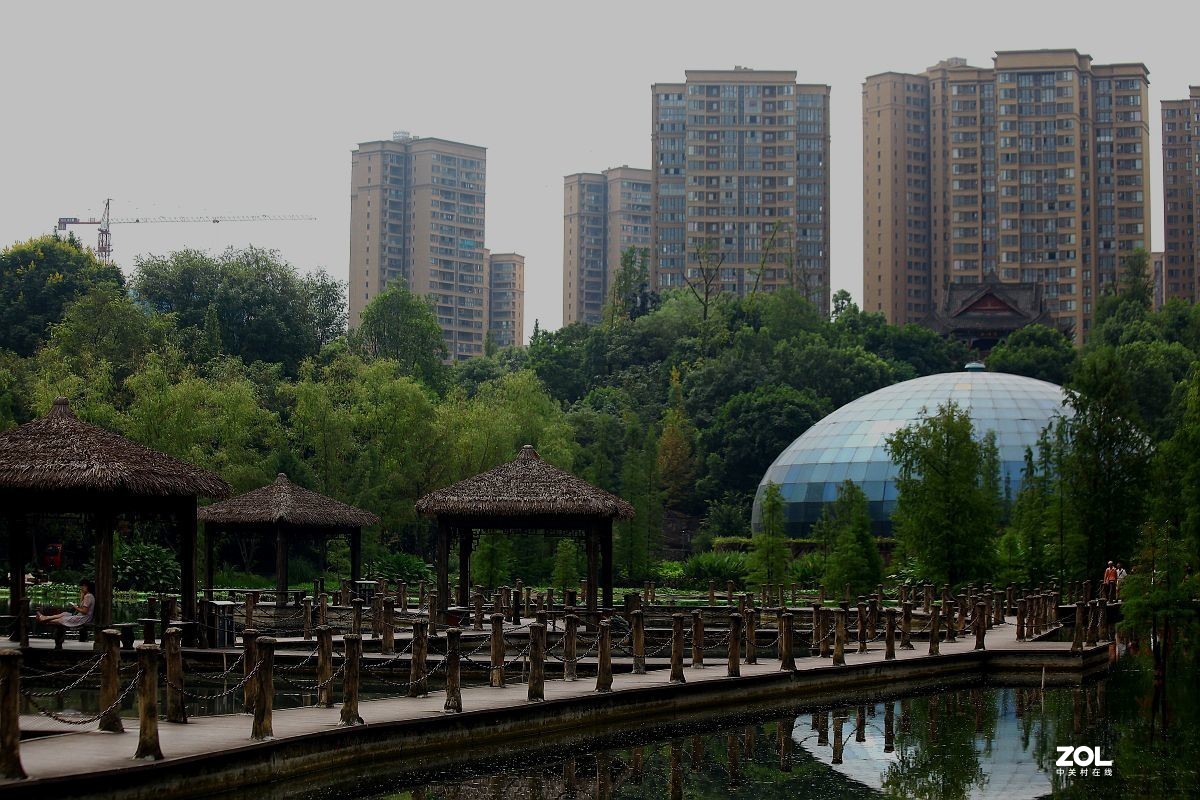 璧山觀音塘溼地公園三