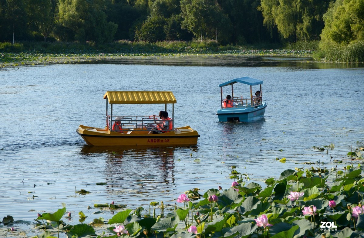 游船荡漾荷花塘3
