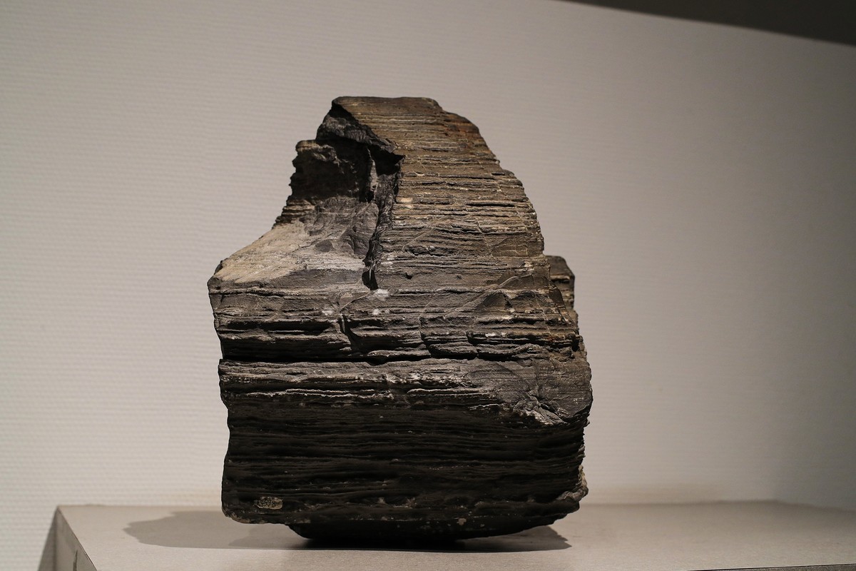 莱卡“光之子”试拍地质标本