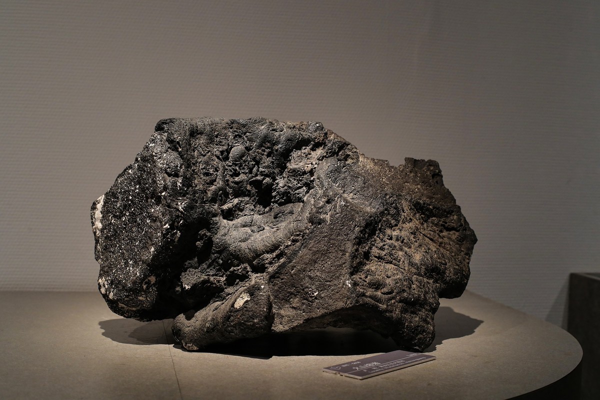 莱卡“光之子”试拍地质标本