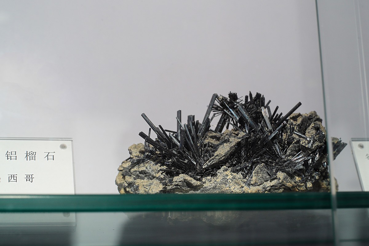 莱卡“光之子”试拍地质标本