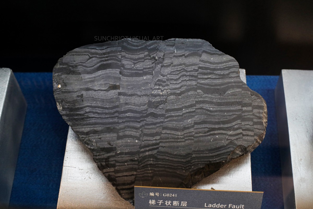 莱卡“光之子”试拍地质标本