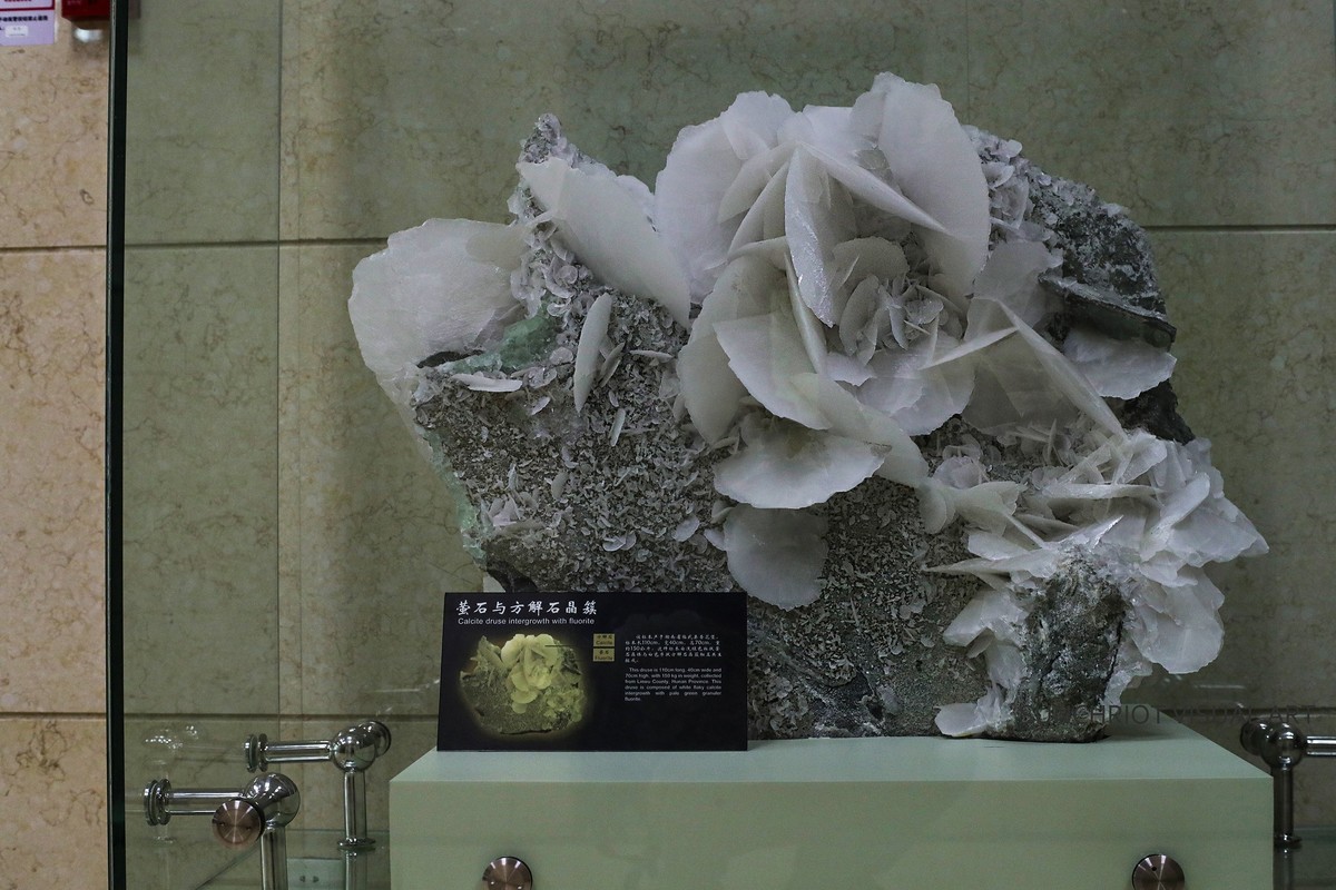 莱卡“光之子”试拍地质标本