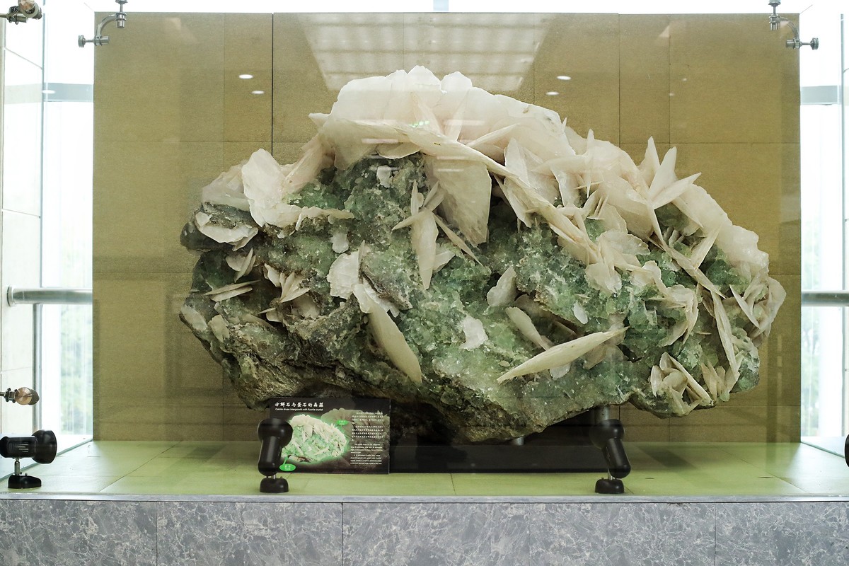 莱卡“光之子”试拍地质标本