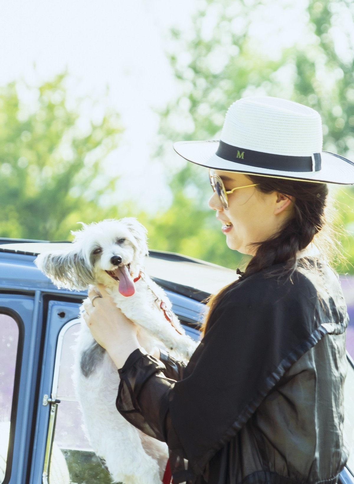 薰衣草园〈二〉