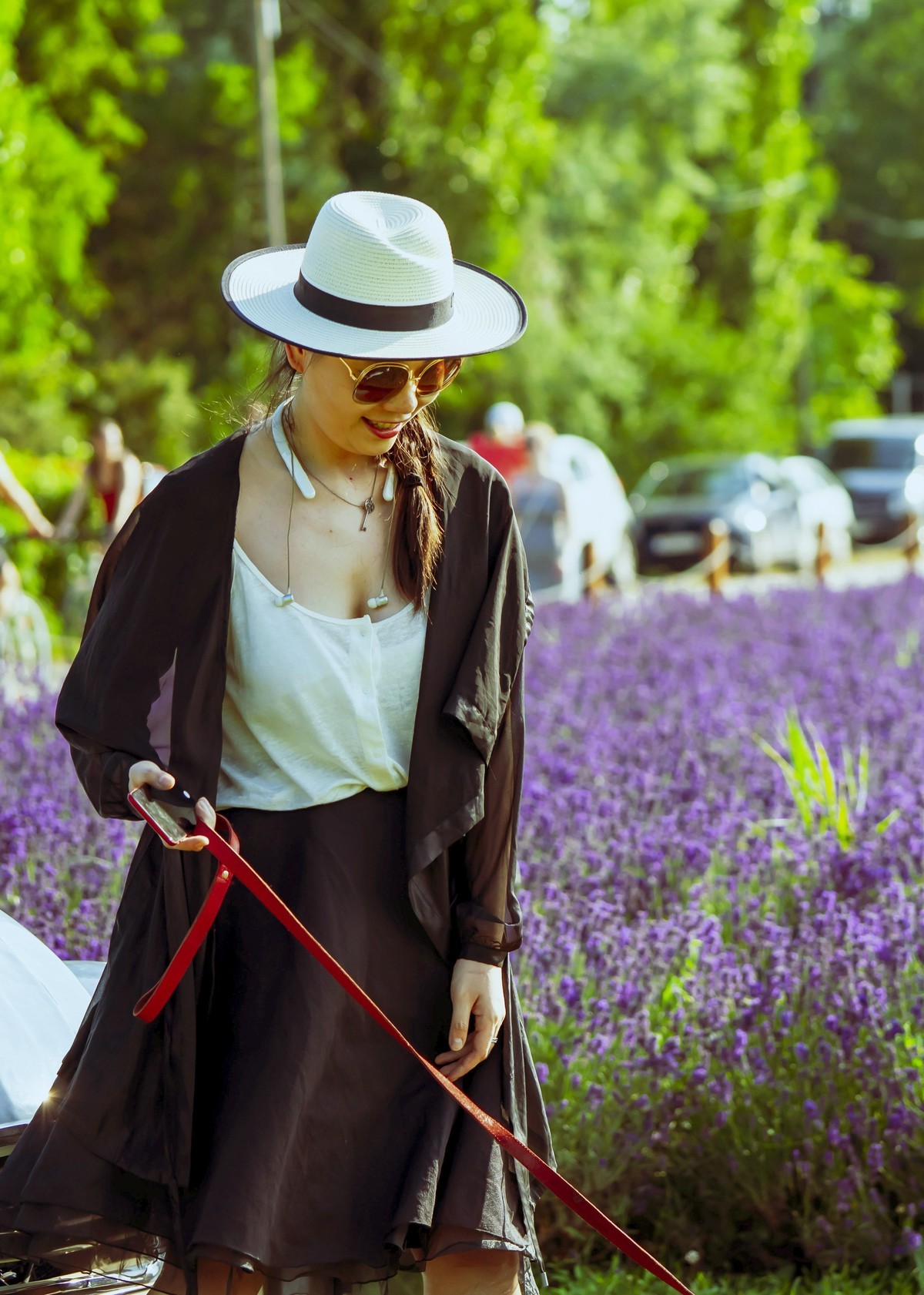 薰衣草园〈二〉