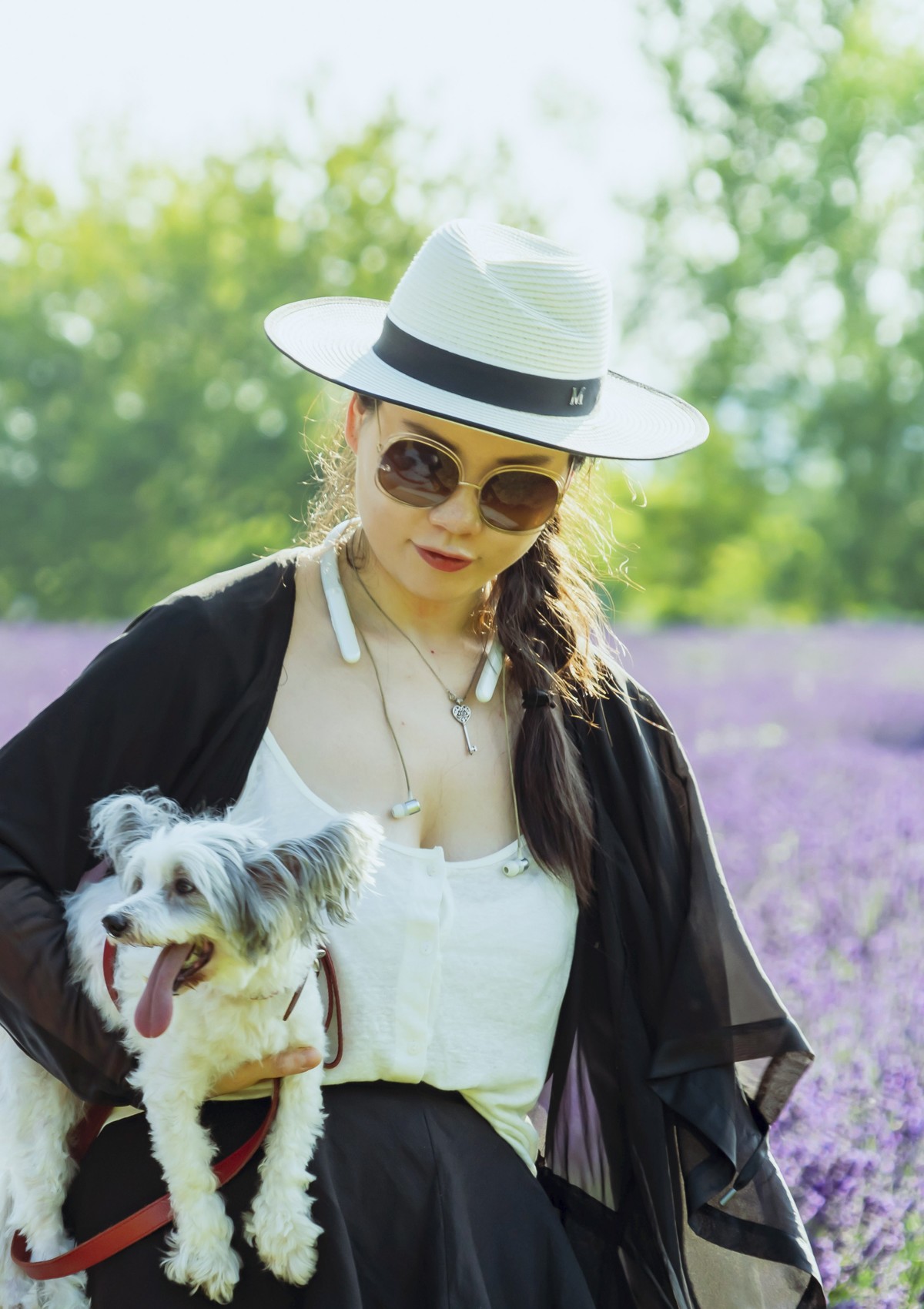 薰衣草园〈二〉