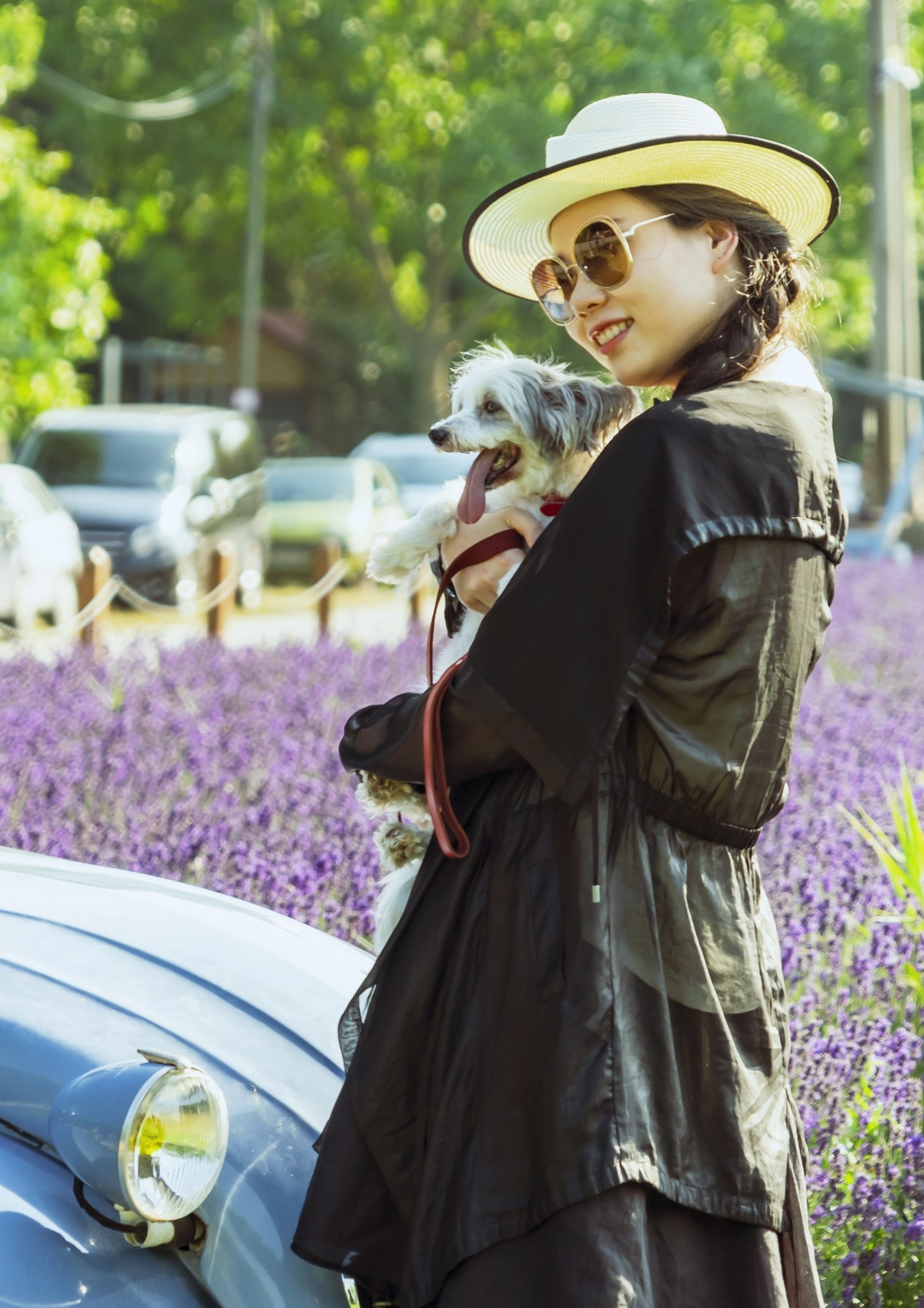 薰衣草园〈二〉