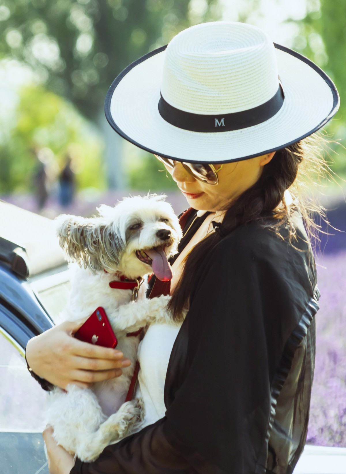 薰衣草园〈二〉