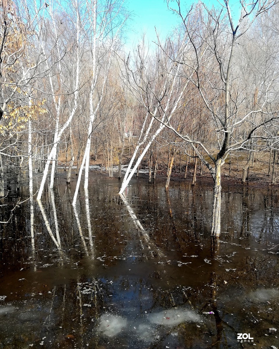 雪消冰初泮，潺暖倩影幽。