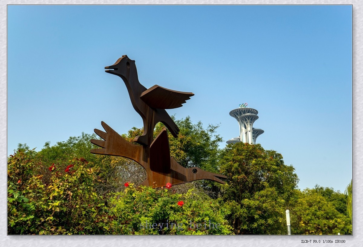 奥塔影集-补增版