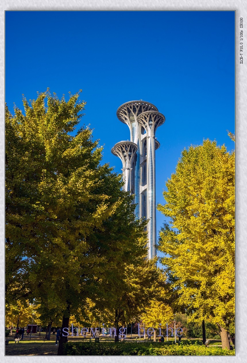 奥塔影集-续（秋色，暮色，倒影，夜景）