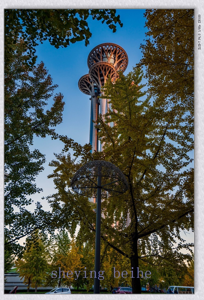 奥塔影集-续（秋色，暮色，倒影，夜景）
