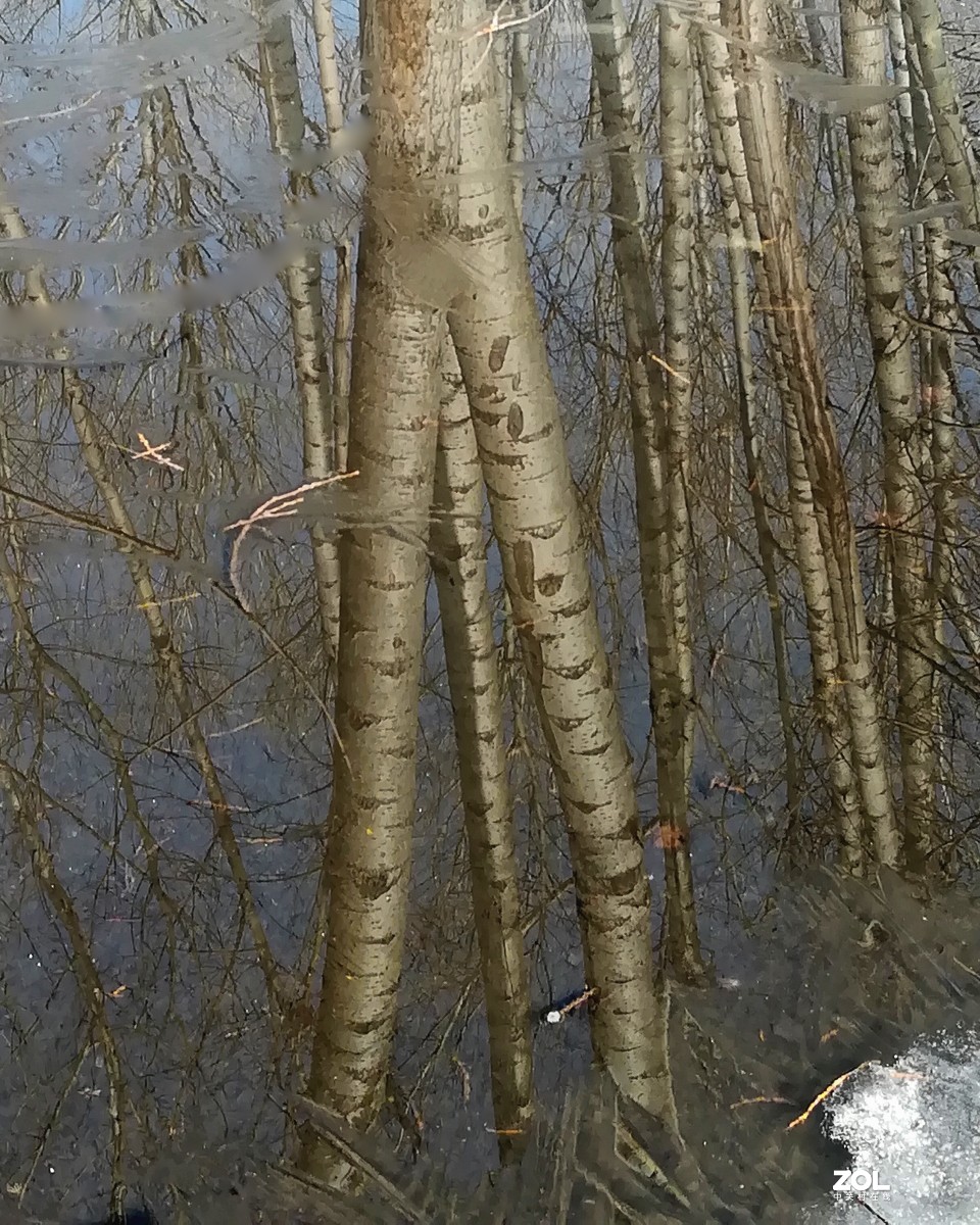 雪消冰初泮，潺暖倩影幽。