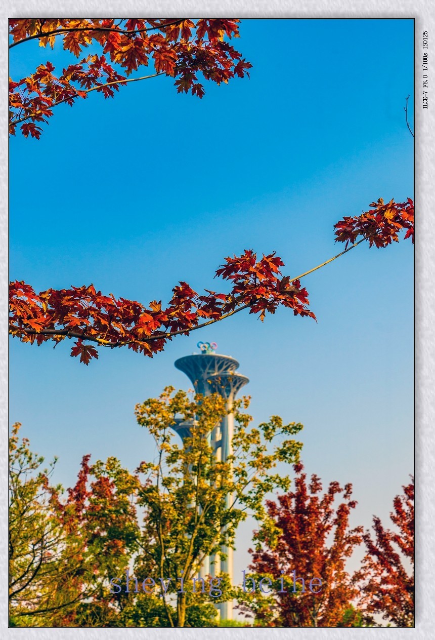 奥塔影集-补增版