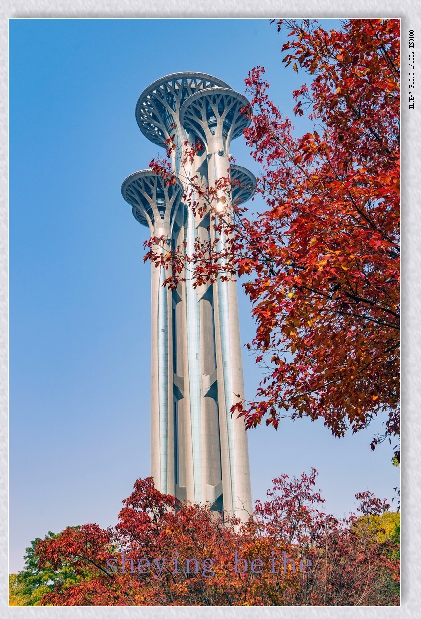 奥塔影集-补增版