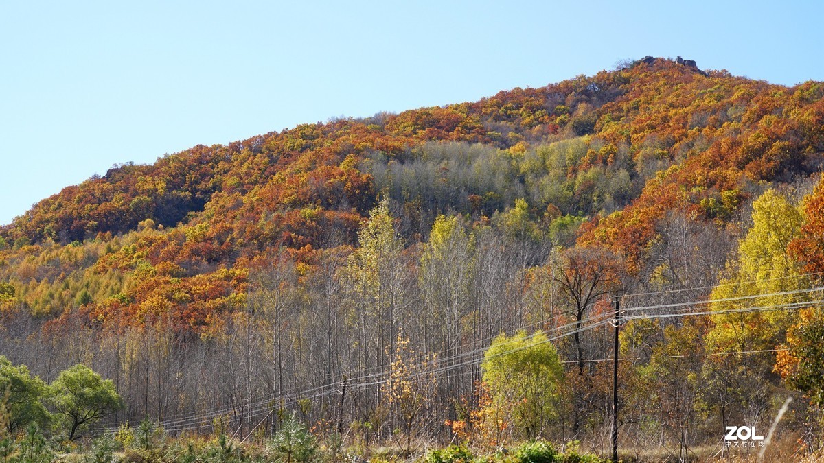 秋游怀柔喇叭沟赏红叶201016(1)