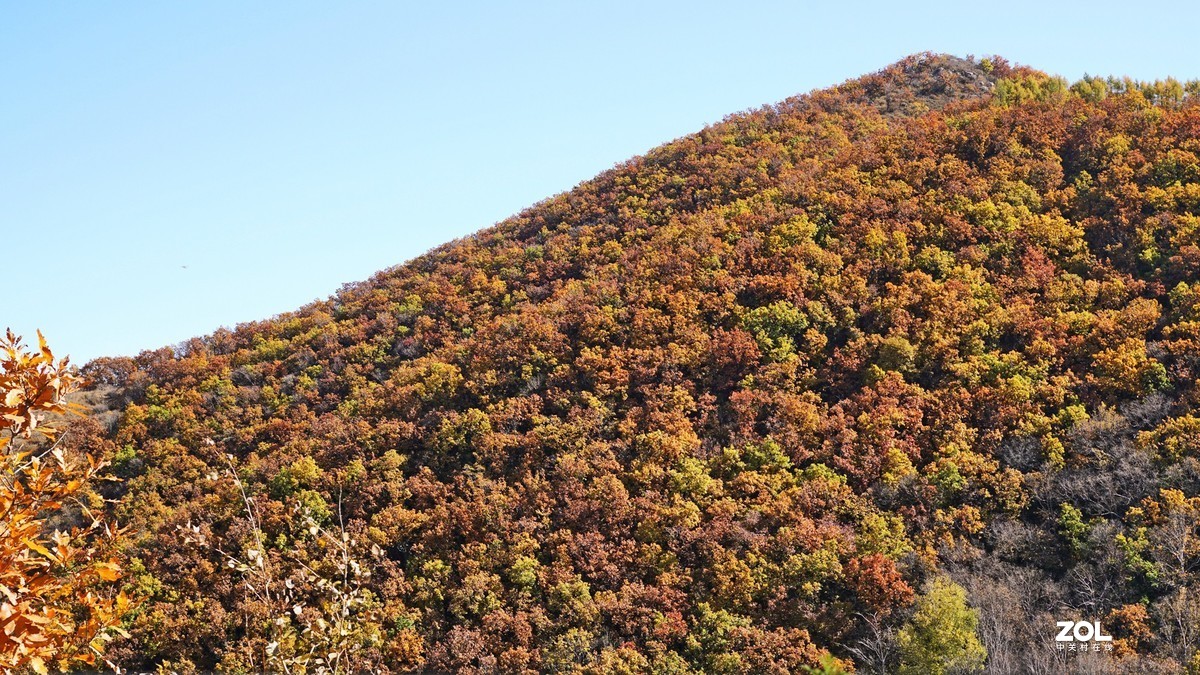 秋游怀柔喇叭沟赏红叶201016(1)