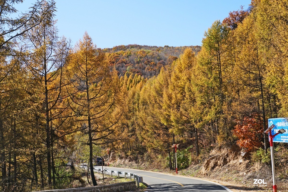 秋游怀柔喇叭沟赏红叶201016(1)