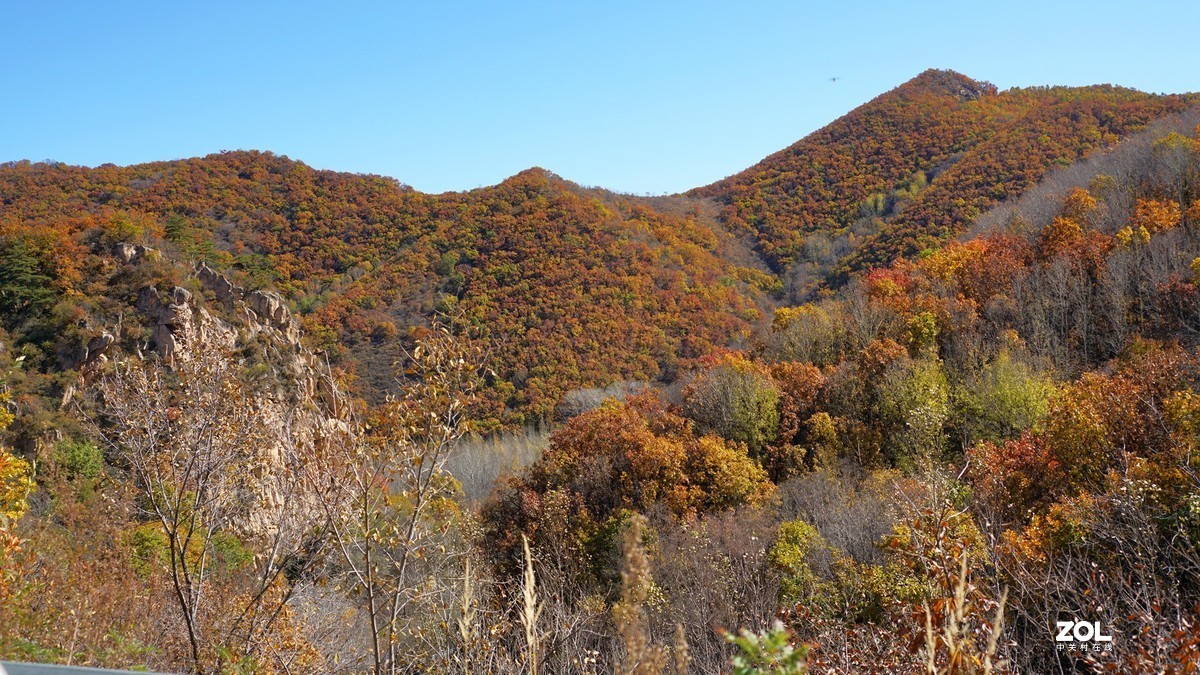 秋游怀柔喇叭沟赏红叶201016(1)