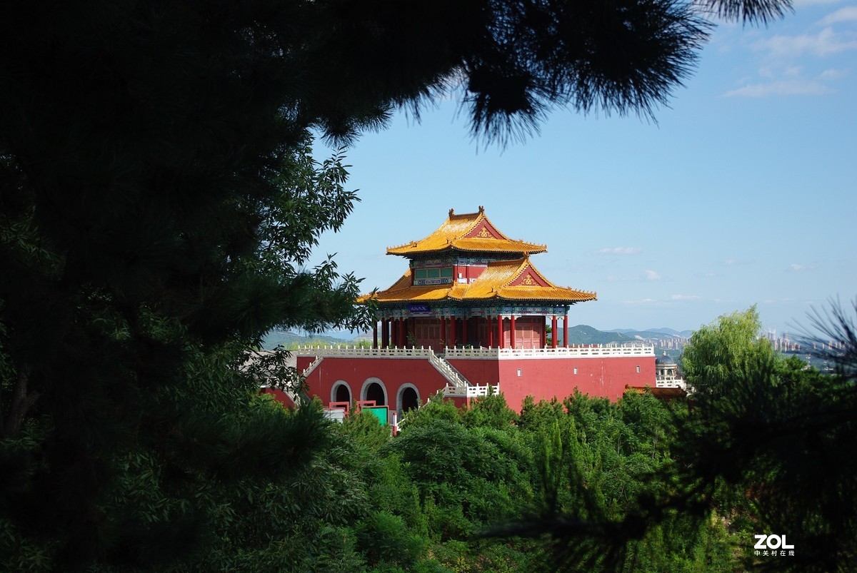 发两张