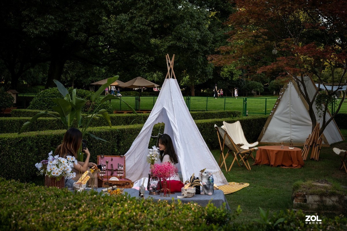 尼康Z7II  尼康50/1.8试镜