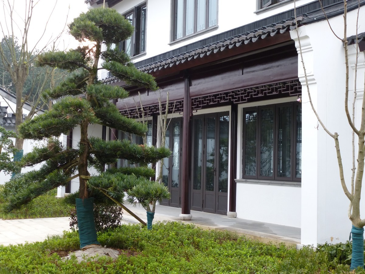 嘉陵江畔的猪山文创小镇