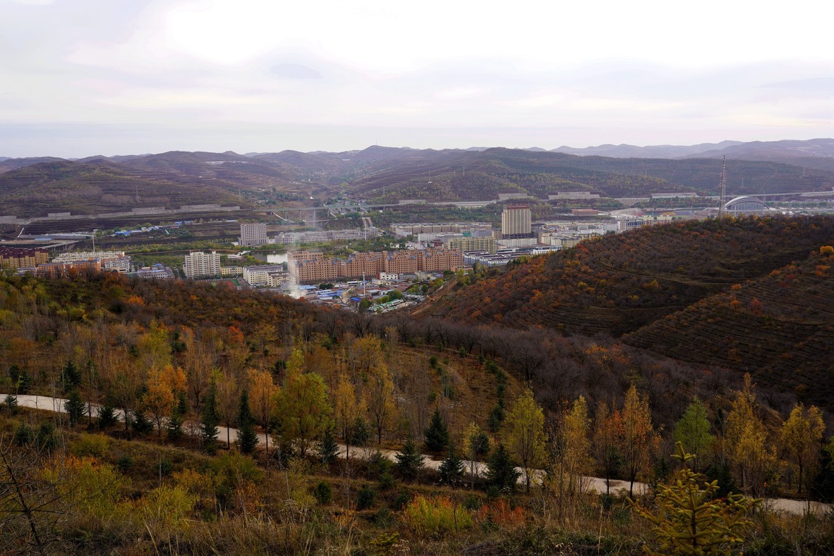 霜叶飘零冬来晚  何日迎来桃花红