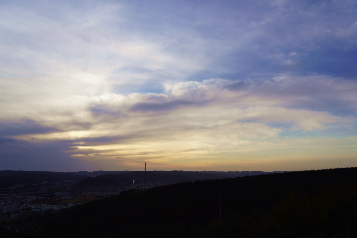 霜叶飘零冬来晚  何日迎来桃花红