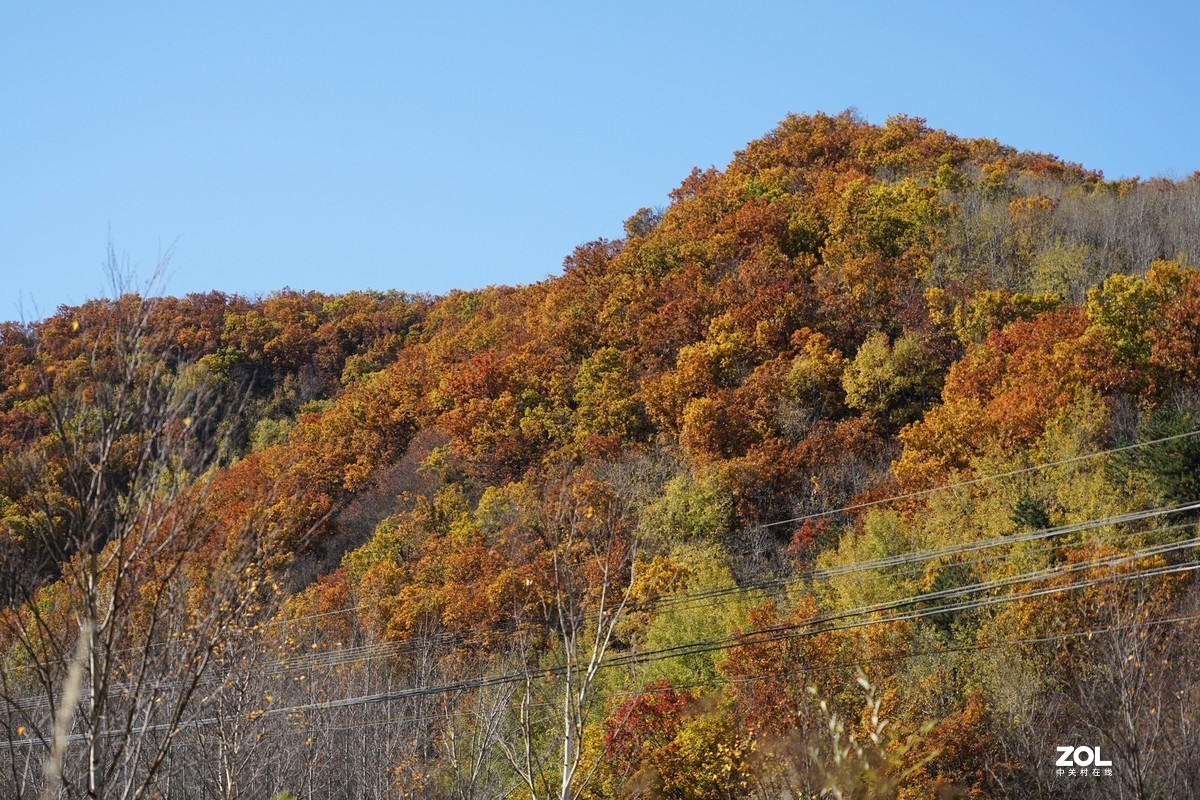 秋游怀柔喇叭沟赏红叶201016(1)