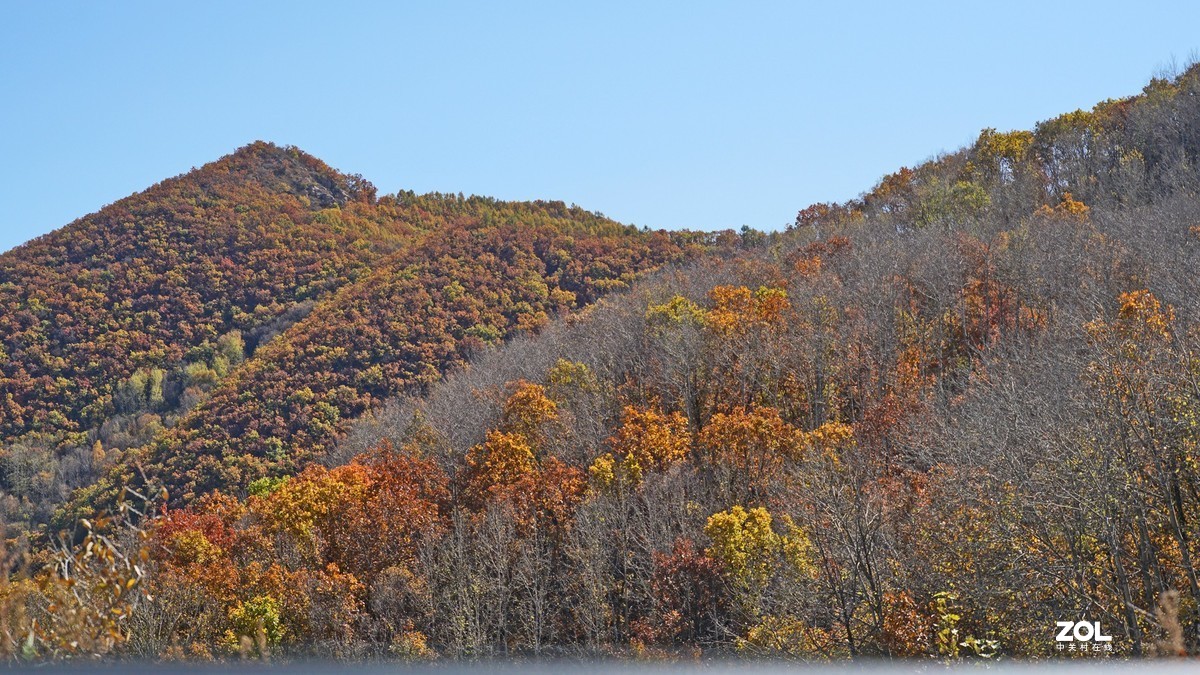 秋游怀柔喇叭沟赏红叶201016(1)