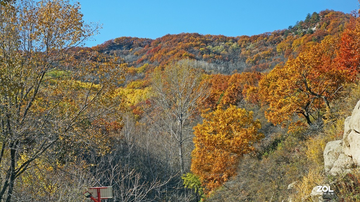 秋游怀柔喇叭沟赏红叶201016(1)