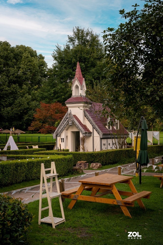 尼康Z7II  尼康50/1.8试镜