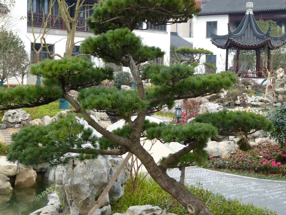 嘉陵江畔的猪山文创小镇