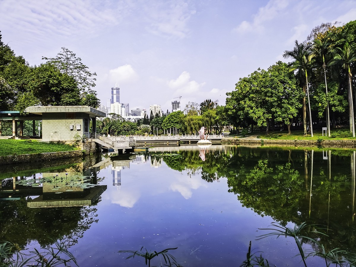 深圳荔枝公园掠影