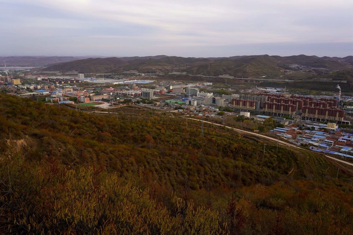 霜叶飘零冬来晚  何日迎来桃花红