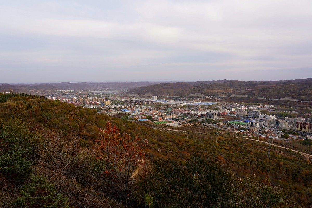 霜叶飘零冬来晚  何日迎来桃花红