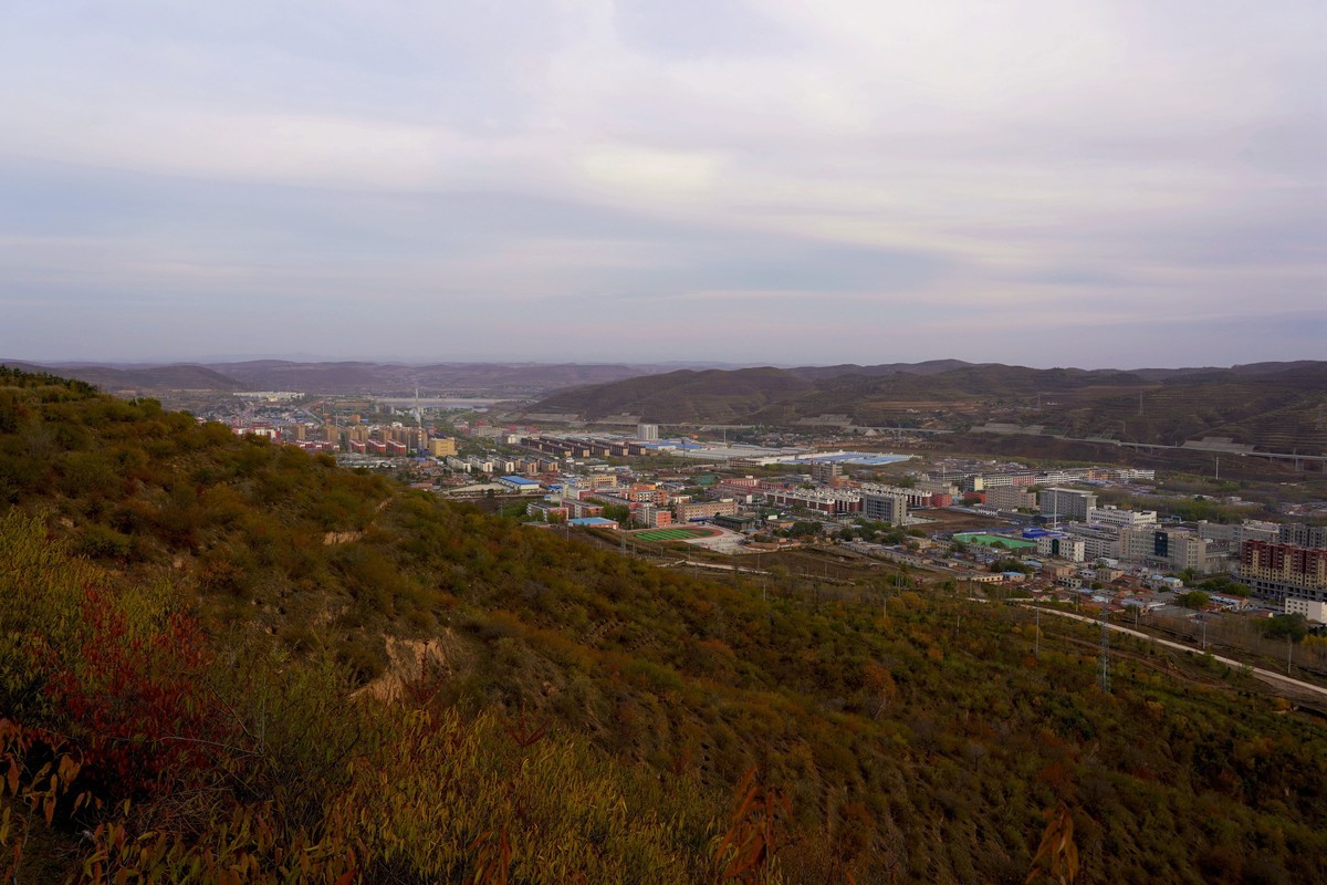 霜叶飘零冬来晚  何日迎来桃花红
