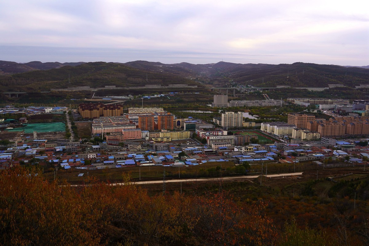 霜叶飘零冬来晚  何日迎来桃花红