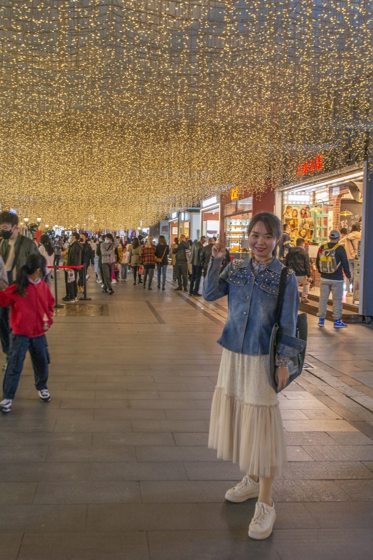 湖北风景名胜掠影（十四. 终结篇）：楚河汉街