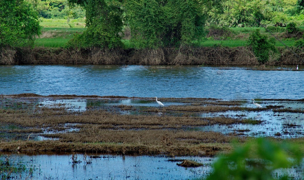酷热天气乡村行