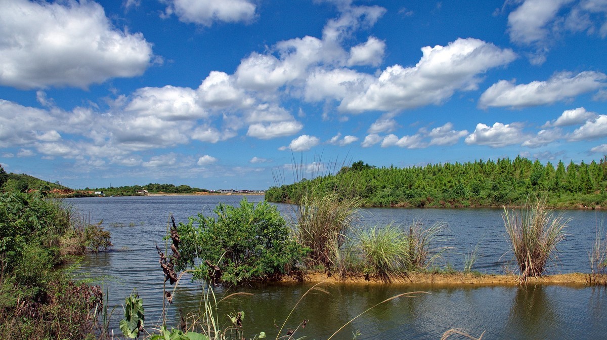 酷热天气乡村行