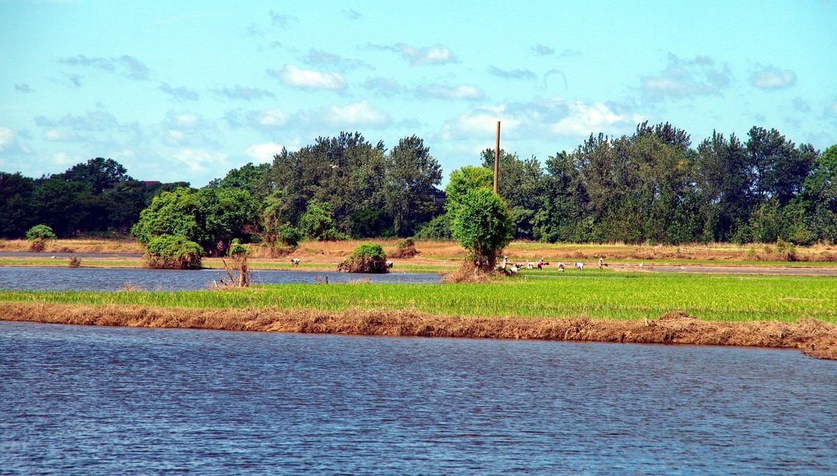酷热天气乡村行