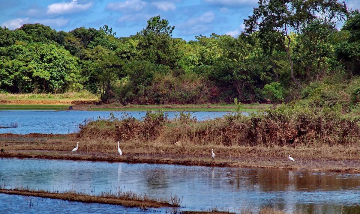 酷热天气乡村行
